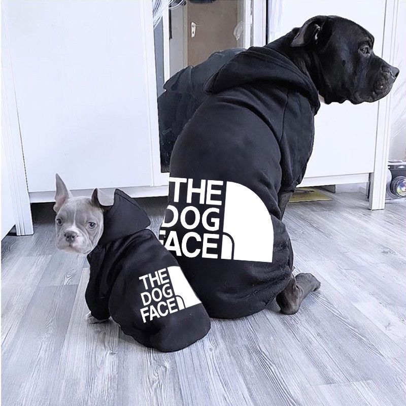 384737581